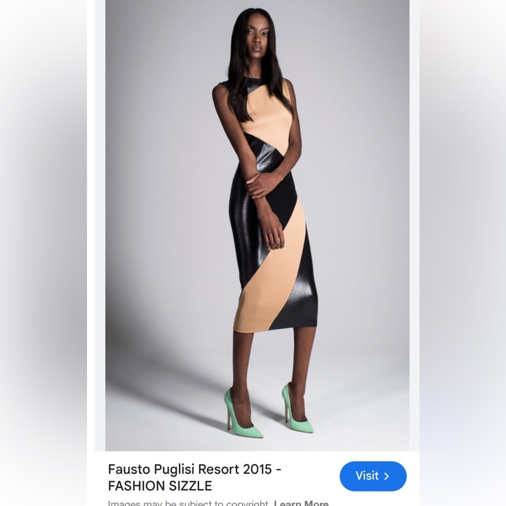 Fausto Puglisi XS/SBlack and Tan Women Dress resort 2015